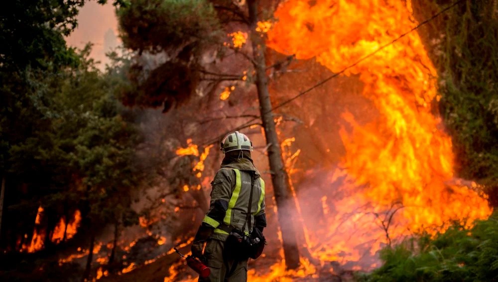 2024: el año con más incendios forestales en México 1 WhatsApp Image 2025 01 12 at 17.47.06