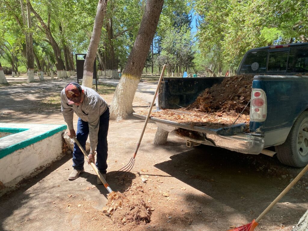 Adriana Valdéz encabeza jornada de limpieza en el Parque La Mota de Frontera 1 Imagen de WhatsApp 2025 04 08 a las 20.31.23 9d31de36