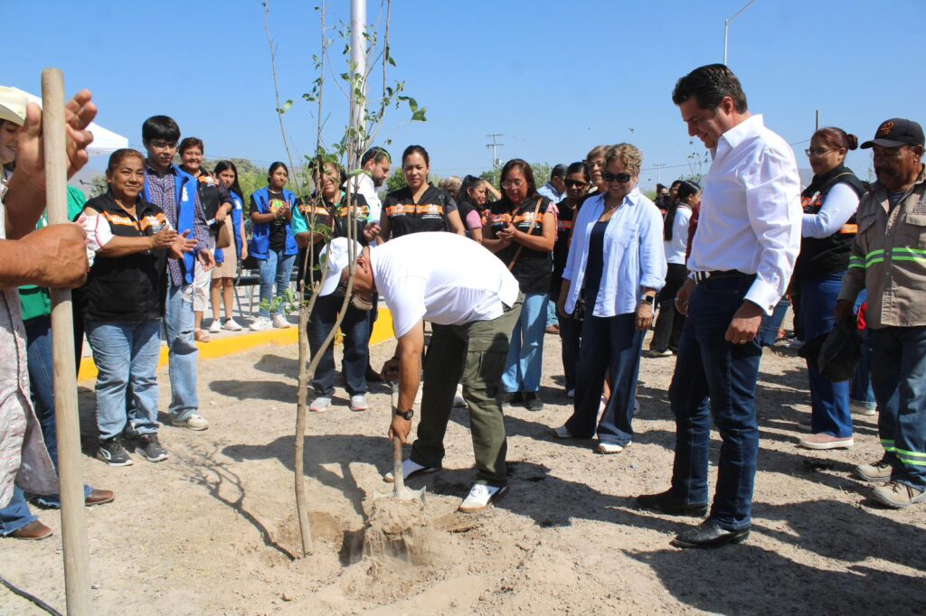 Cuatro Ciénegas impulsa reforestación con más de 1,600 árboles en campaña “Verde Verde Coahuila” 1 Imagen de WhatsApp 2025 06 14 a las 12.34.43 8ead7988